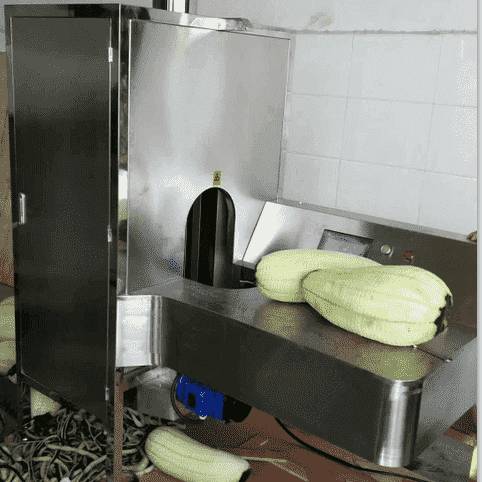 vegetable peeling machine